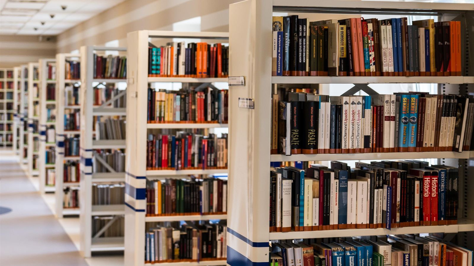 Find Your Perfect College Match